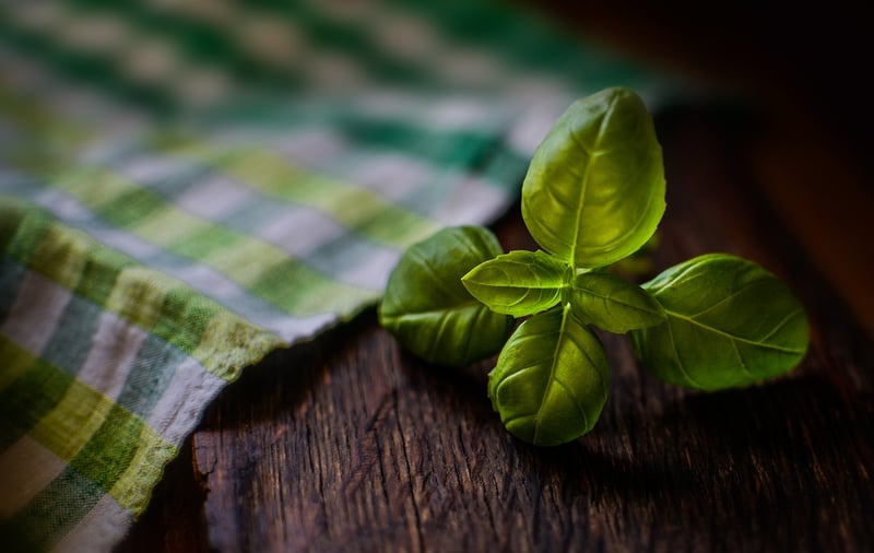 Witchy Herbs
