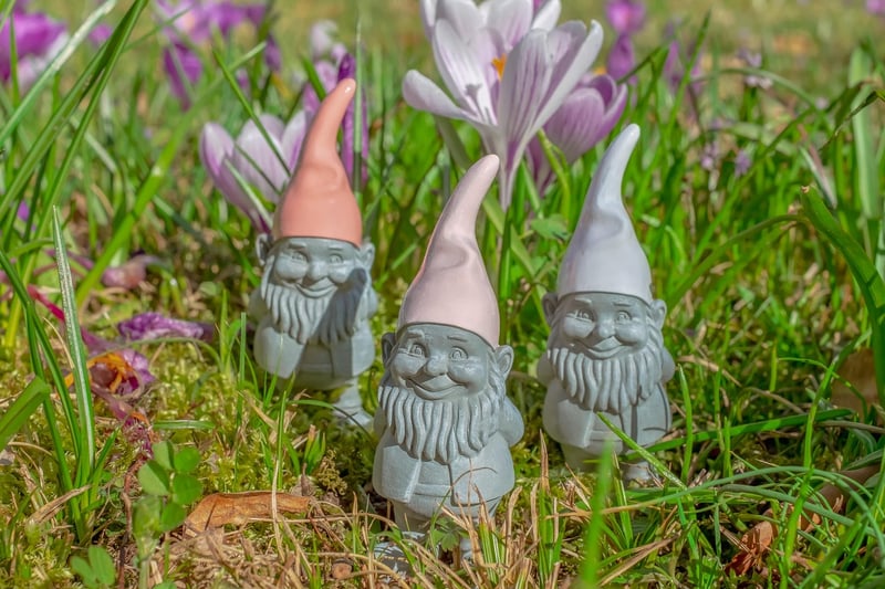 Gnome